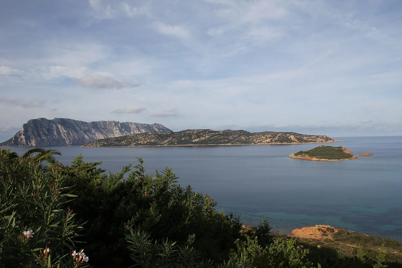 Le isole di Tavolara e Molara viste dalla costa, con un isolotto in primo piano sul mare calmo e macchia mediterranea
